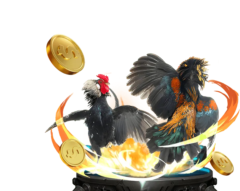 Luật cá cược thể thao bin88