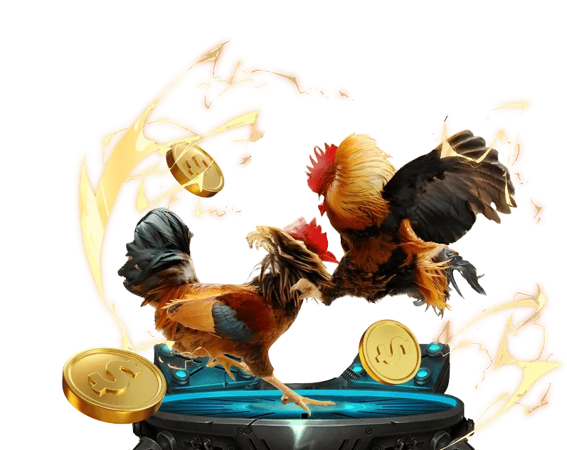 Luật chơi casino trực tuyến bin88